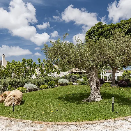 Casale Dome Bed & Breakfast